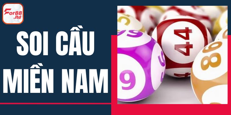 soi-cau-mien-nam-anh-dai-dien