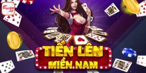 tien-len-mien-nam-anh-dai-dien